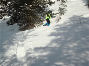 Breck2008 015.jpg